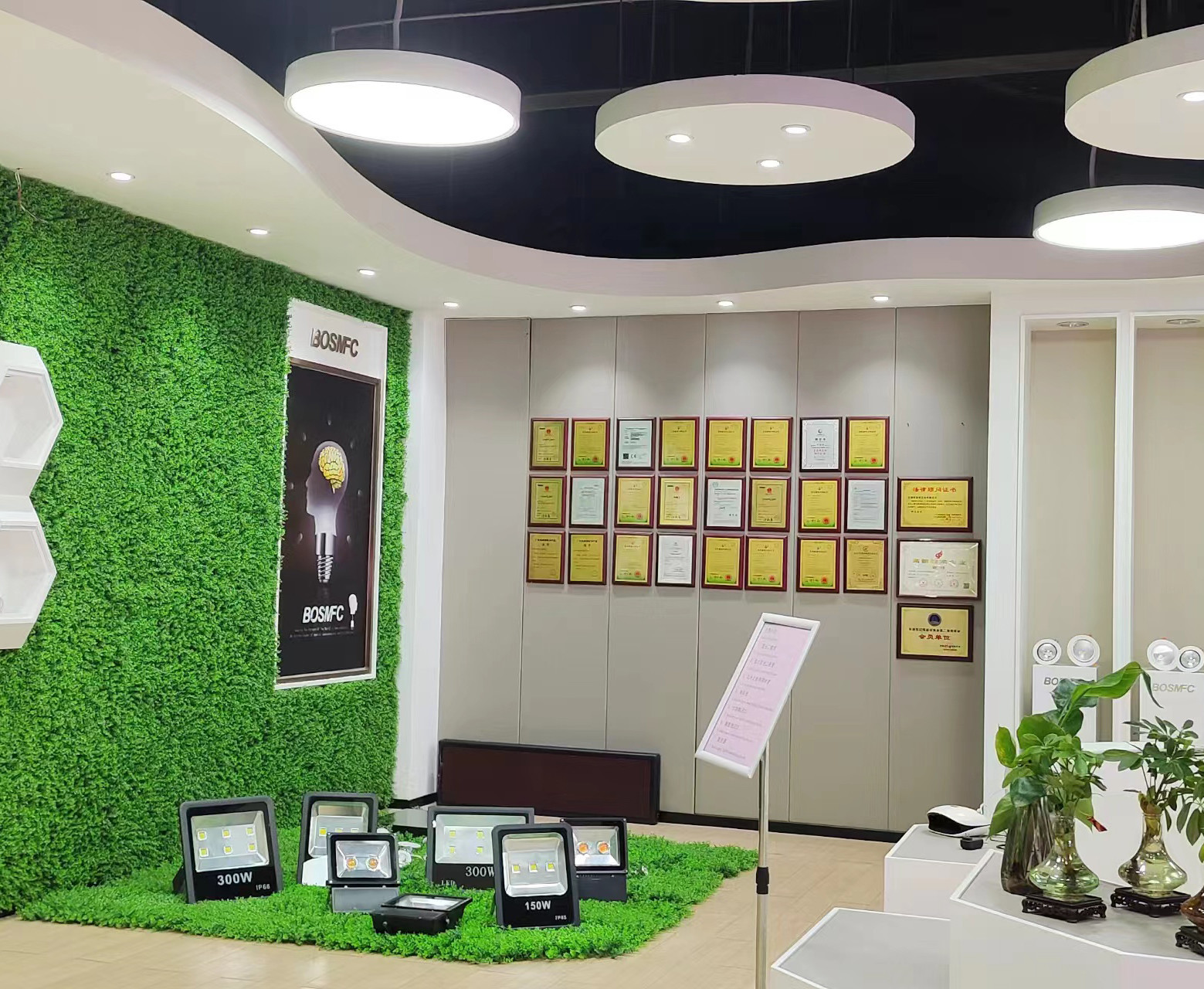 중국 Dongguan Lanjin Optoelectronics Co., Ltd. 회사 프로필