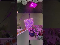 2835 SMD LED PCB 전체 스펙트럼 COB 식물용 LED 성장 조명