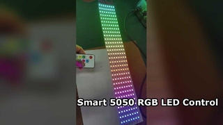 맞춤형 5050 RGB LED 내장 IC 주소 지정 가능 LED 스트립