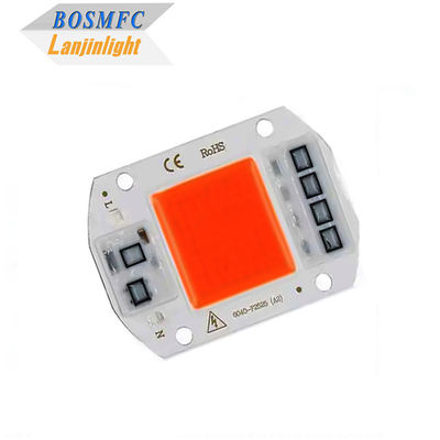 실내 식물 성장 램프에 대한 실용적인 전체 스펙트럼 COB LED 칩 50W 100W